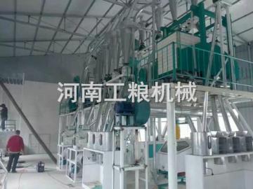 50噸級成套玉米加工設備